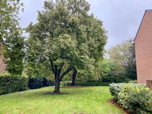 View to the front- click for photo gallery